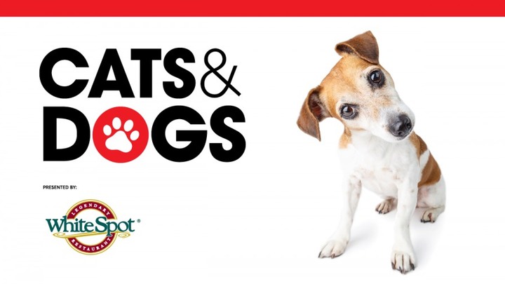 Westside @ Science World After Dark: Cats & Dogs logo image