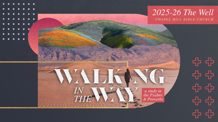 The Well 2025-26 (AM Session) logo