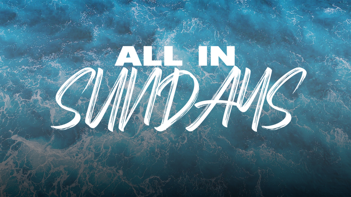 All-In-Sunday | August logo