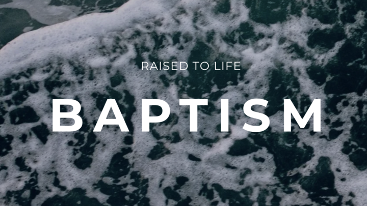 Raised to Life: Baptisms at GraceLife Church logo