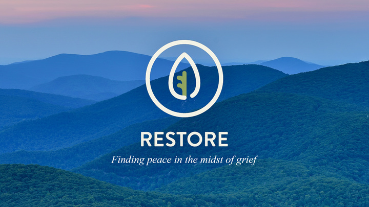 Restore logo image