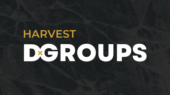 D-Groups 2025-2026 logo