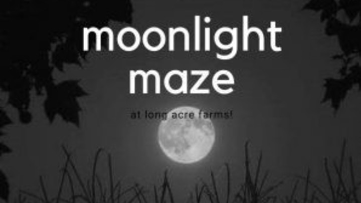 FRIDAY NIGHT IGNITE: MOONLIGHT MAZE logo image