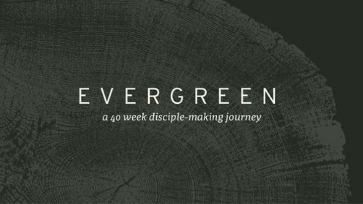 Discipleship Tool: Evergreen logo