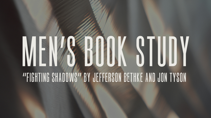 Winter Book Study (Fighting Shadows) logo