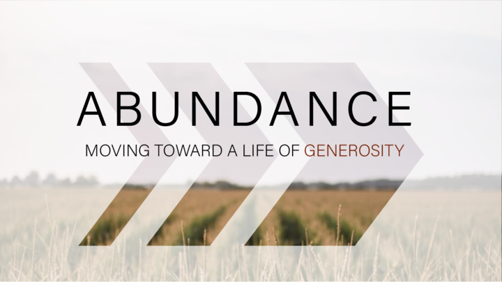 Abundance Series | Devotional Book logo image