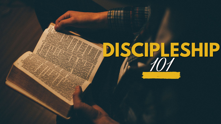 Discipleship 101 logo