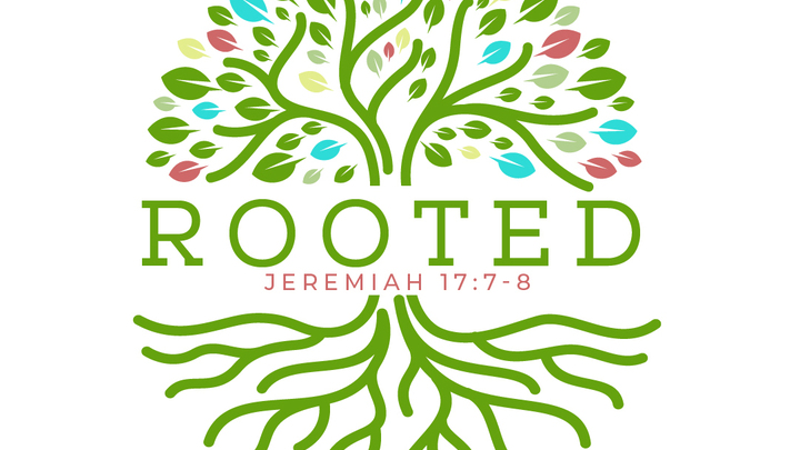 Women’s Bible Study Collective logo