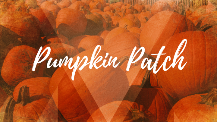 Pumpkin Patch 2025 logo