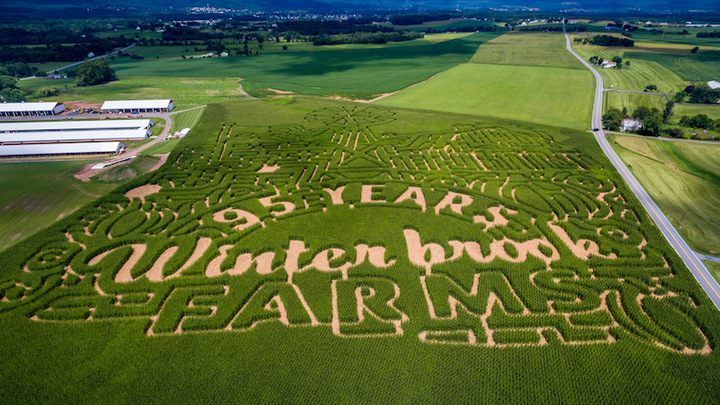 Leverage goes to Winterbrook Farms logo image