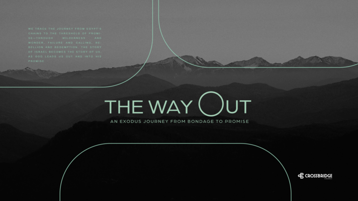 NEW SERIES: THE WAY OUT logo
