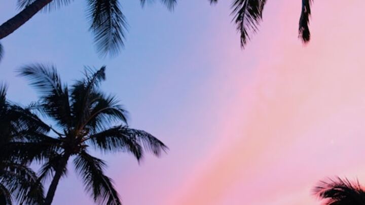 North River Campus | Tuesday Nights | Sermon-Based Co-Ed Group logo