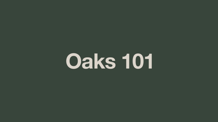 Oaks 101 logo