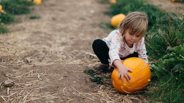 Fall KidsView Party logo image
