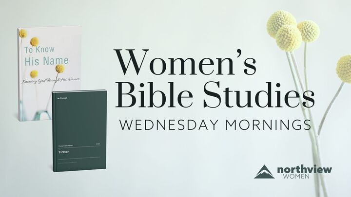 Women's Wednesday AM Bible Studies - Fall '25 logo