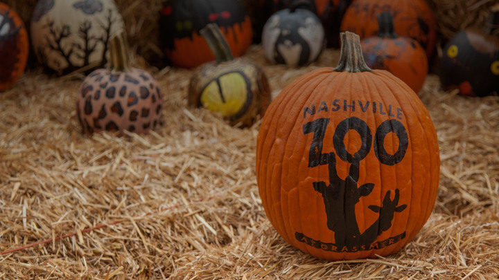 Spero Dei Students: Boo at the Zoo logo image