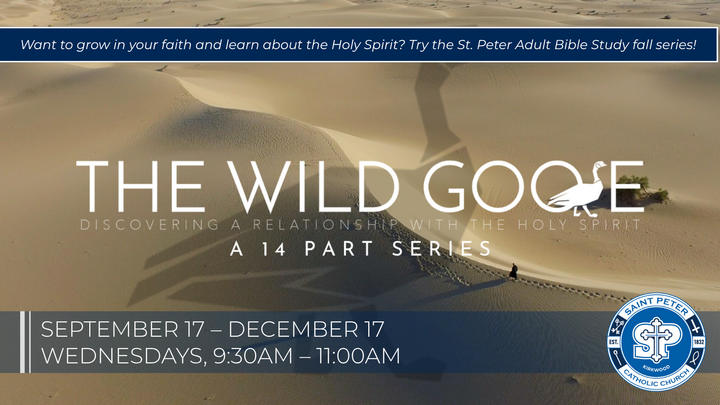 Adult Bible Study: The Wild Goose logo
