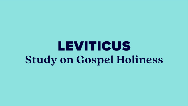 Men's Bible Study | Leviticus | Study on Gospel Holiness logo