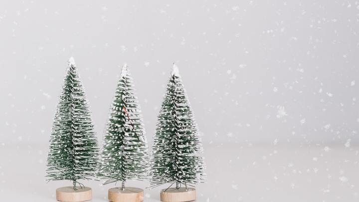 Christmas Friendzie - Women's Event logo image