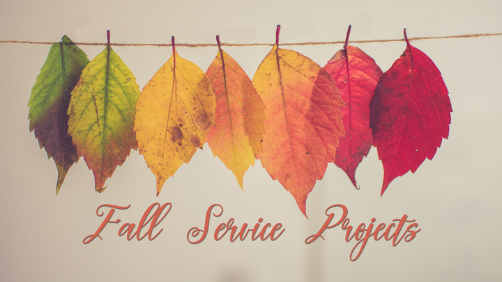 Fall Serve Projects logo image