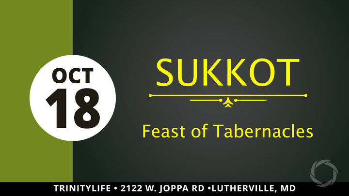 Sukkot logo image