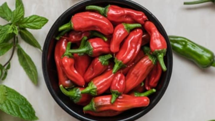 Delta Campus - Chili Cook -Off Participant logo image