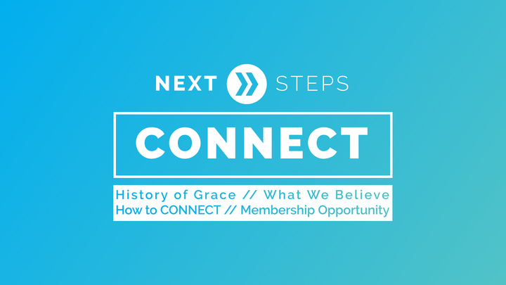 Northwood - Next Steps: Connect logo