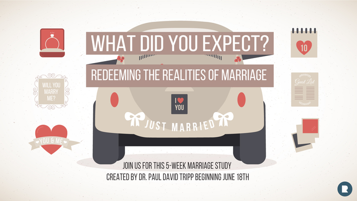 What Did You Expect? Redeeming the Realities of Marriage logo image