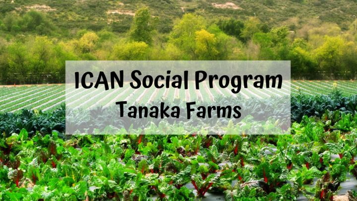 ICAN Social Program logo image