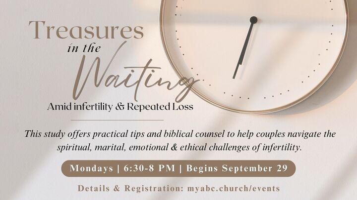 Treasures in the Waiting - Amid Infertility and Repeated Loss logo