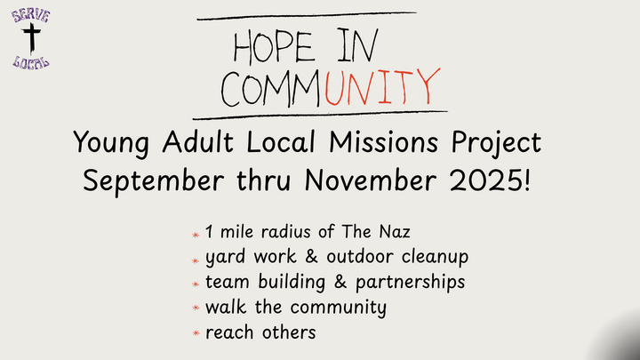 Young Adult | Serve Local Missions Project logo