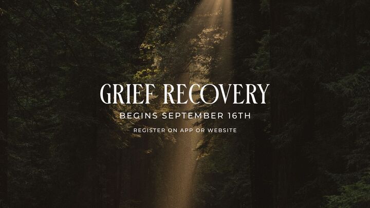 Grief Recovery - Summer Session logo