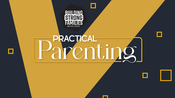 BSFAM: Practical Parenting Session 4 logo