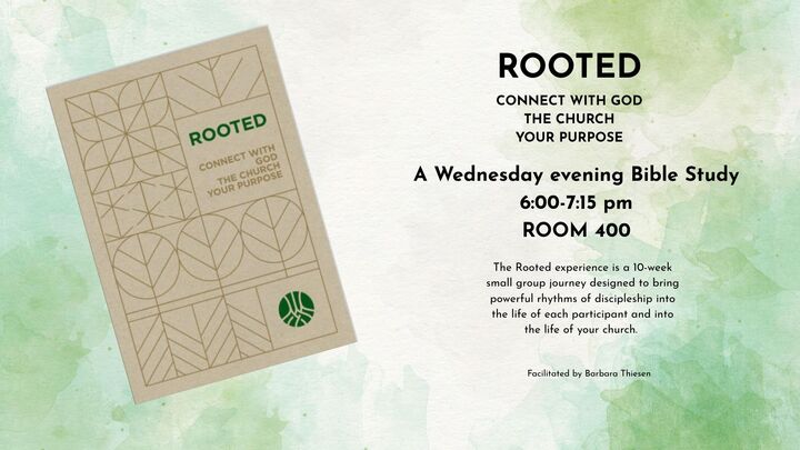 Rooted logo