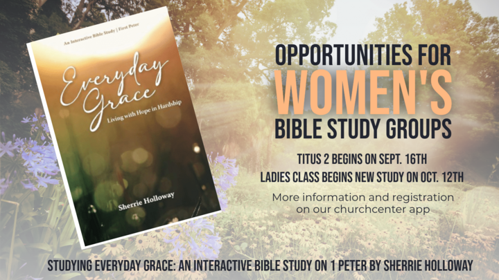 Titus 2: Everyday Grace logo