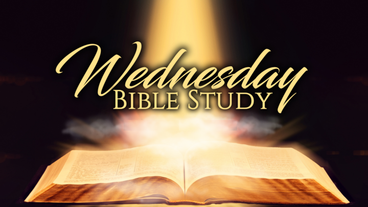 Bible Study - Blessed Mother, Mary logo