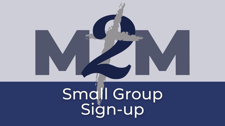 Ministry to Men Small Groups logo