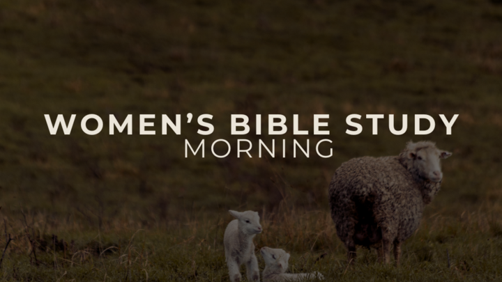 Childcare for Women's Bible Study logo