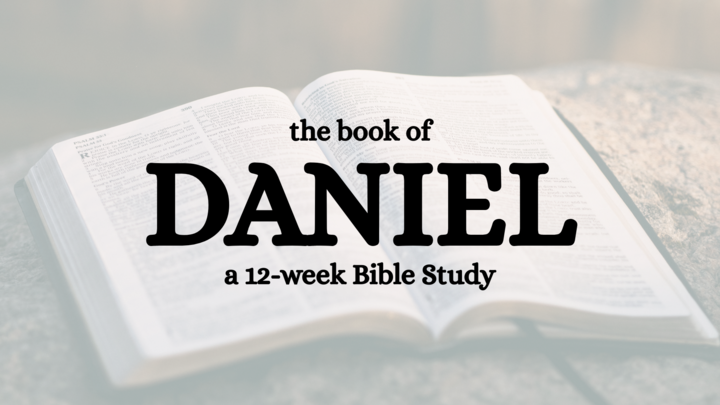 Daniel Bible Study logo