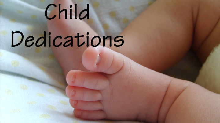 Dedication Classes Fall 2019 logo image