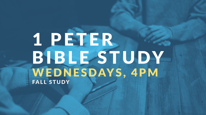 1 Peter Bible Study logo