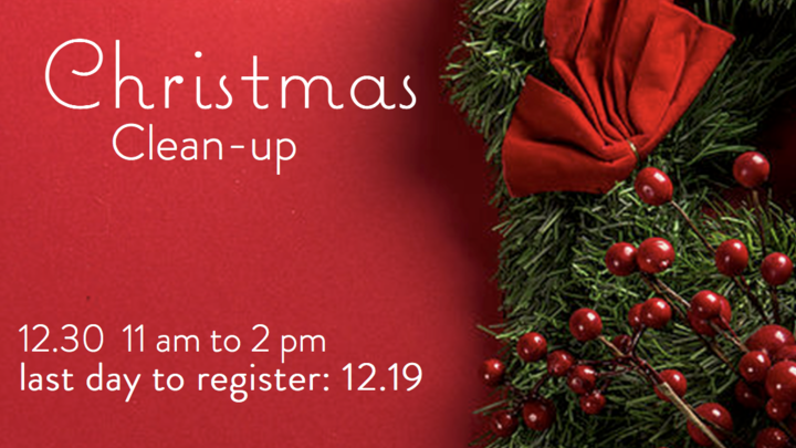 JOY: Christmas Clean Up logo image