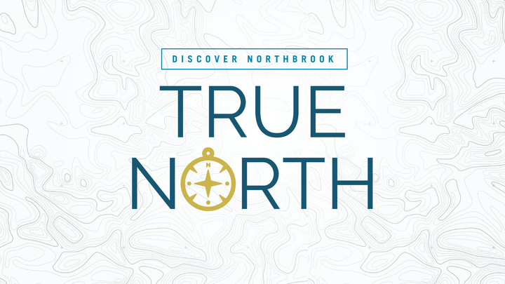 True North logo
