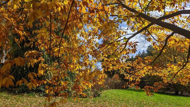 2025 City Light & City Hope Fall Retreat logo