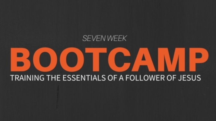 BootCamp 7 Week Night Sessions (Nov 4 - 16 Dec Launch) logo image