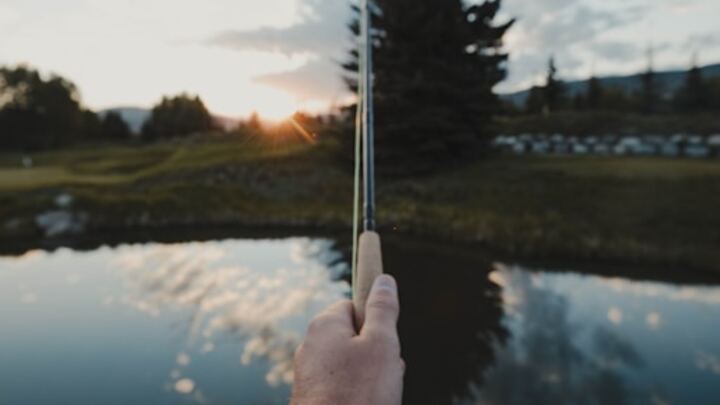 Featured Image
