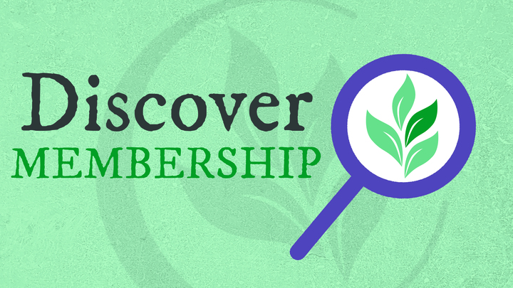 Discover Membership logo
