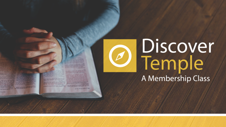 Discover Temple logo image