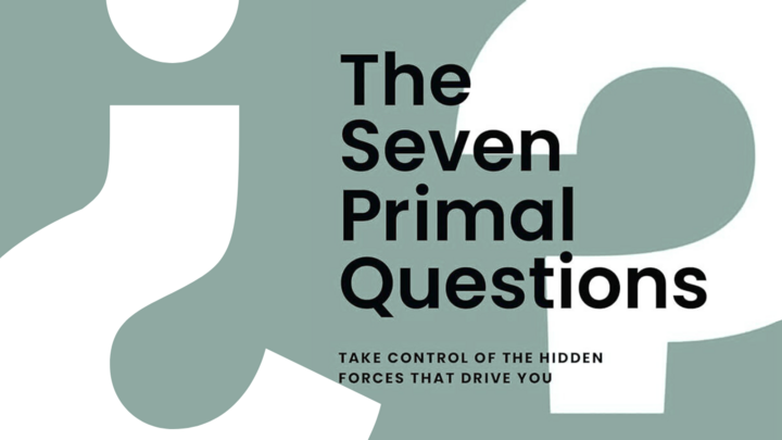 The 7 Primal Questions logo