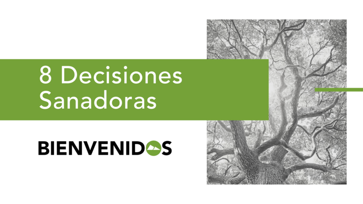 8 Decisiones que Sanan Otoño 2025 - (support groups) logo